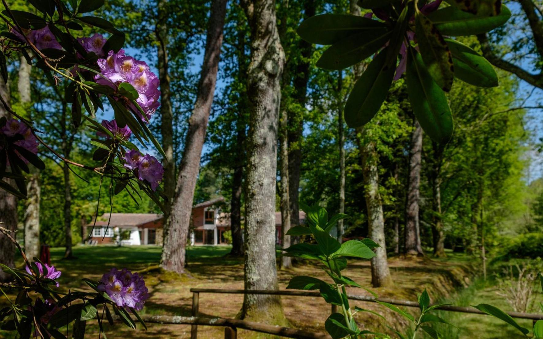 Parc De L'Aiguade Bed & Breakfast แซ็ง-โปล-เล-ดักซ์ ภายนอก รูปภาพ