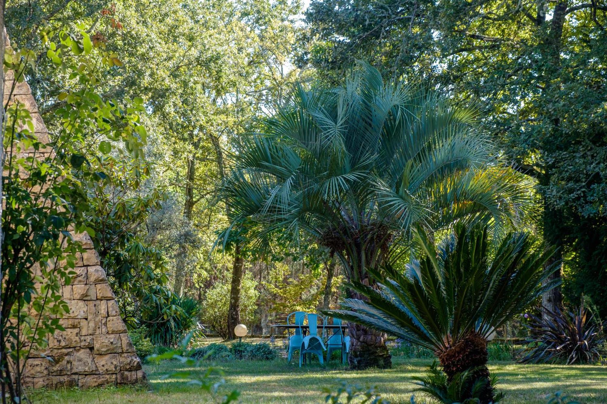 Parc De L'Aiguade Bed & Breakfast แซ็ง-โปล-เล-ดักซ์ ภายนอก รูปภาพ
